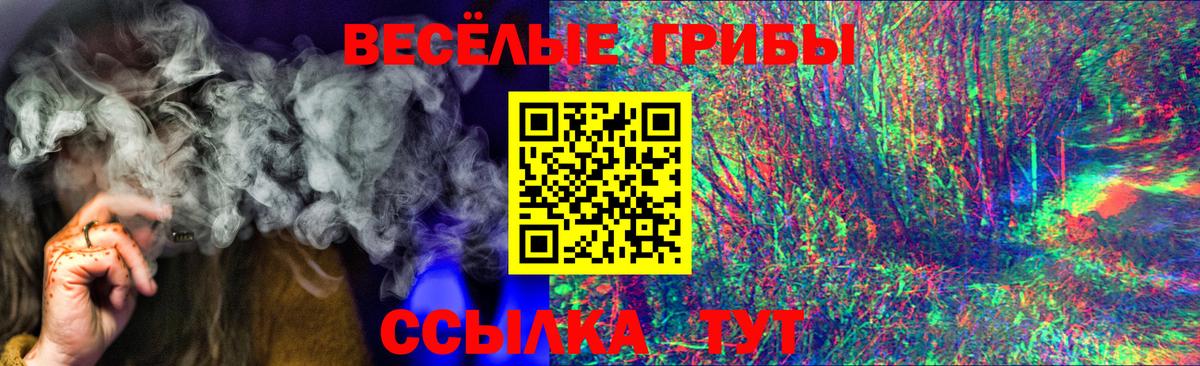 Псилоцибиновые грибы прущие грибы  Вход с VPN  Галлюциногенные грибы прущие грибы  Урус-Мартан 